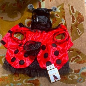 Ladybug Dog/Cat Costume Size Small